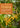 California Foraging: Trade Paperback