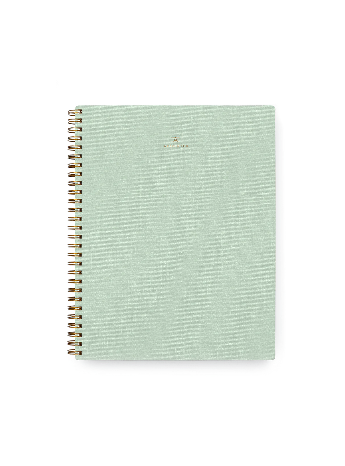 NOTEBOOK IN MINERAL GREEN