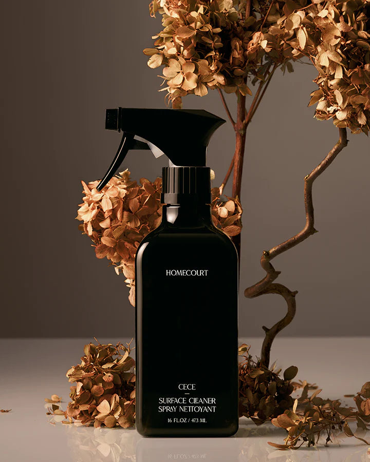 SURFACE CLEANER CECE