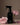 SURFACE CLEANER STEEPED ROSE