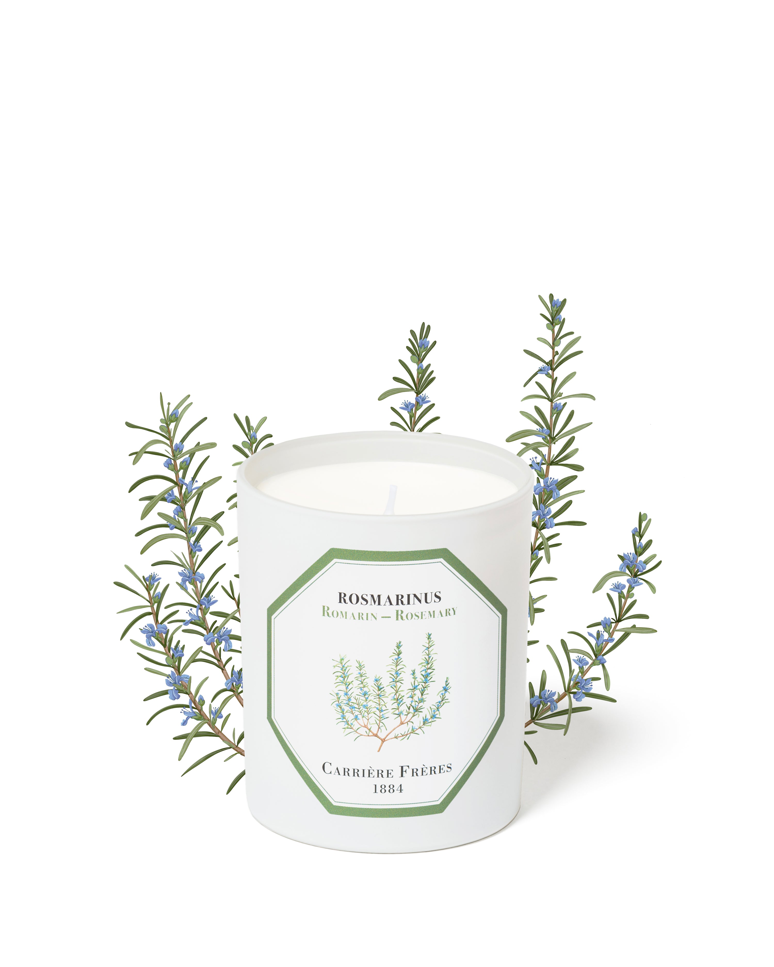 ROSMARINUS - ROSEMARY CANDLE