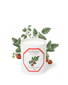 LYCOPERSICON ESCULENTUM - TOMATO CANDLE