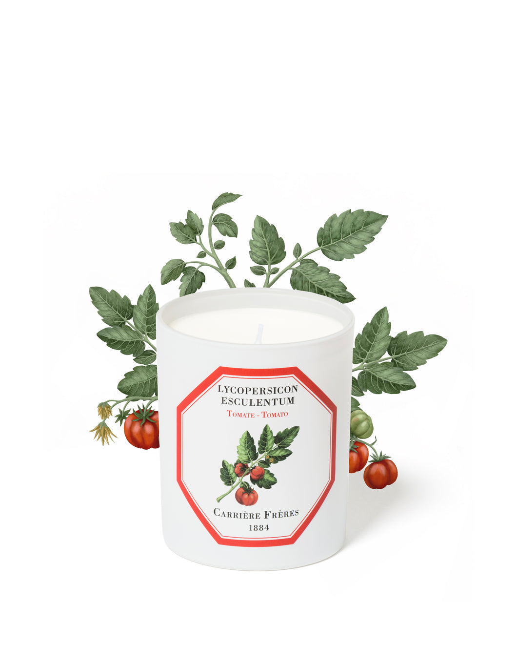 LYCOPERSICON ESCULENTUM - TOMATO CANDLE