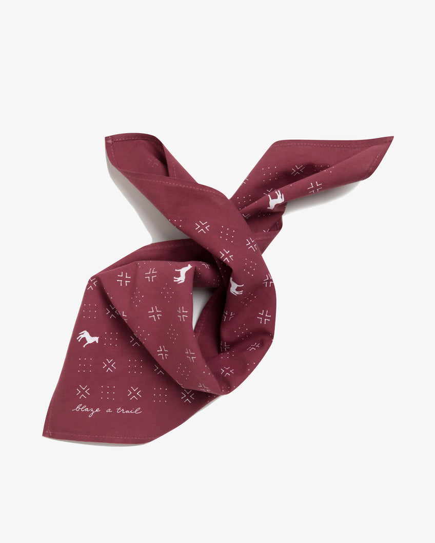 BLAZE A TRAIL BANDANA