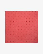 Load image into Gallery viewer, EXPLORE MORE BANDANA