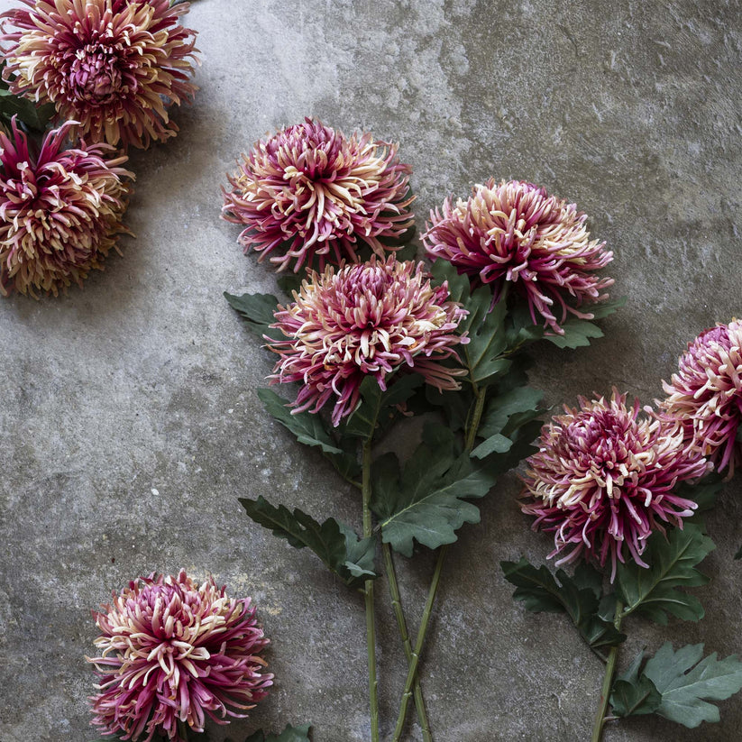 ARTIFICIAL CHRYSANTHEMUM, SUNSET