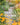 The Gravel Garden: Hardcover