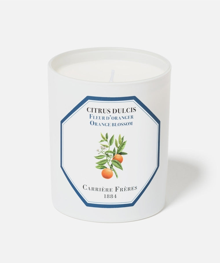 CITRUS DULCIS - ORANGE BLOSSOM CANDLE