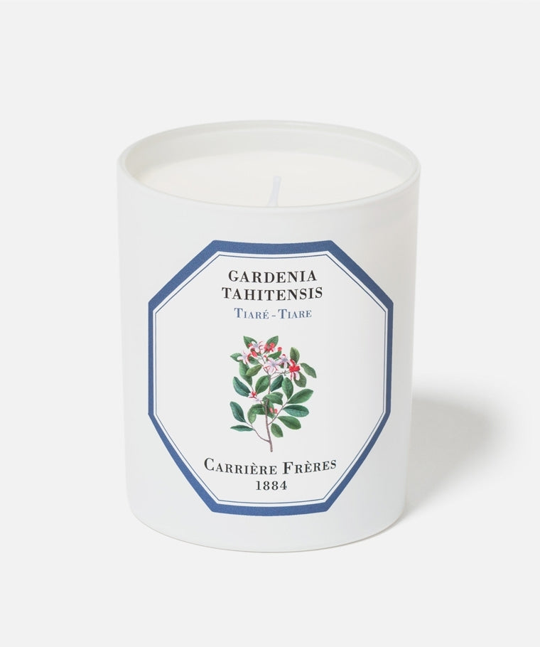 GARDENIA TAHITENSIS - TIARE CANDLE