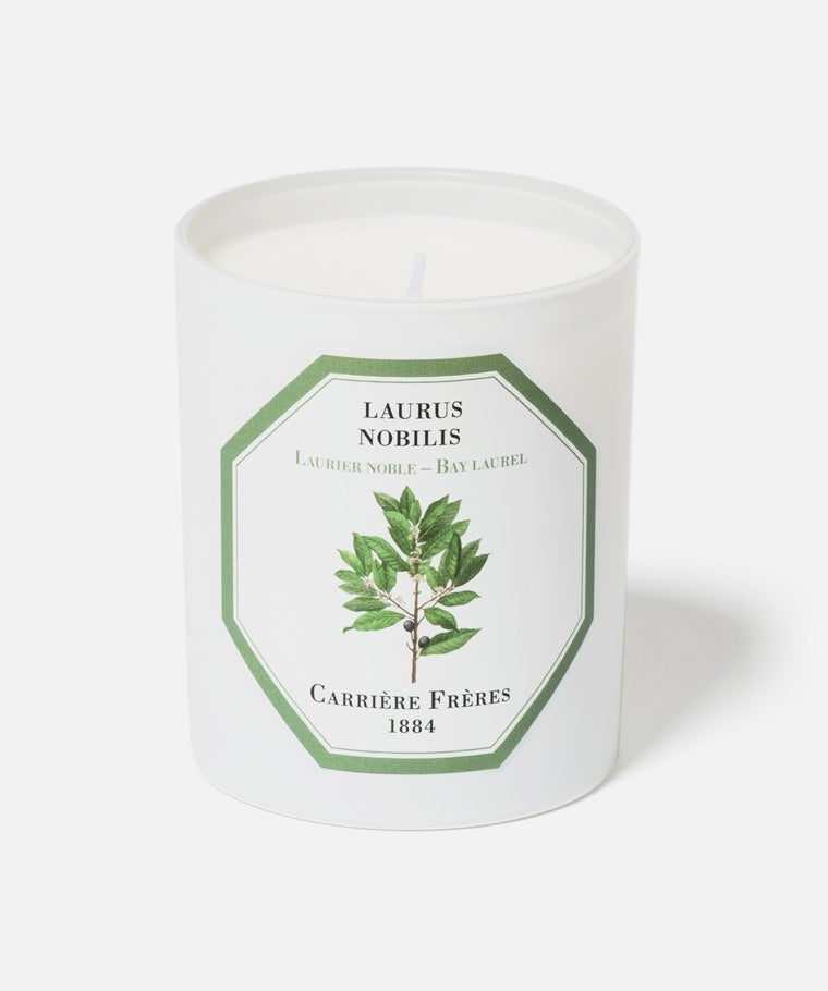 LAURUS NOBILIS - BAY LAUREL CANDLE