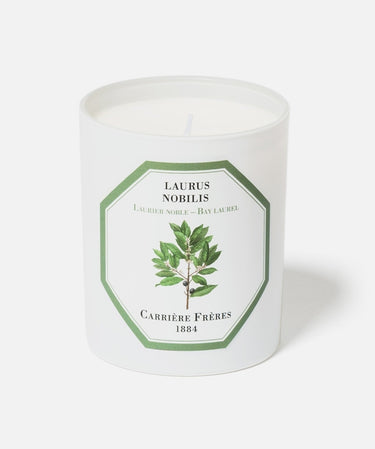 LAURUS NOBILIS - BAY LAUREL CANDLE