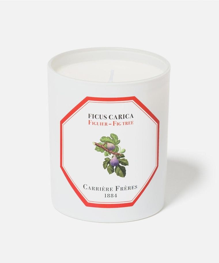 FICUS CARICA - FIG TREE CANDLE