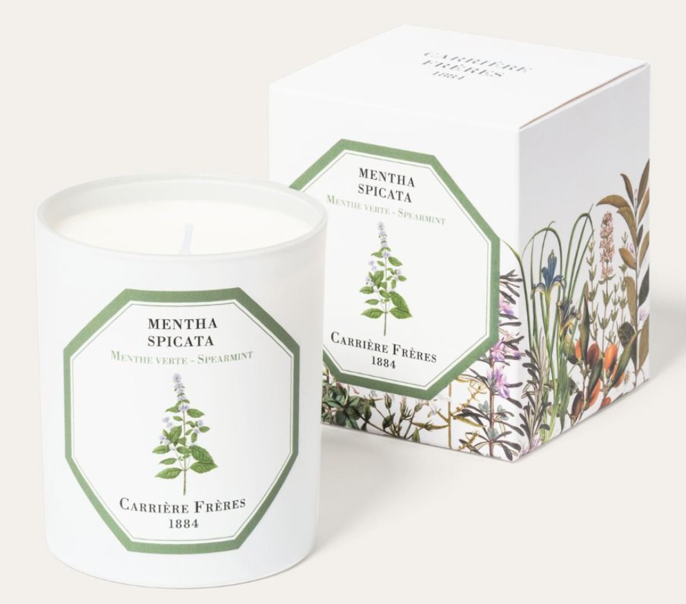 MENTHA SPICATA - SPEARMINT CANDLE