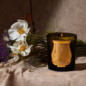 DADA: TEA & VETIVER CANDLE