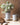 SILO PITCHER