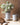 SILO PITCHER